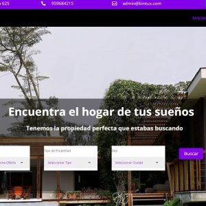 Inmobiliaria Modelo 1